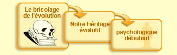 Le bricolage de l'&eacute;volution