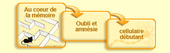 Au coeur de la m&eacute;moire