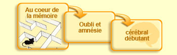Au coeur de la m&eacute;moire