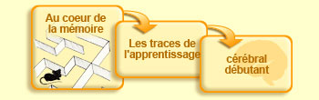 Au coeur de la m&eacute;moire