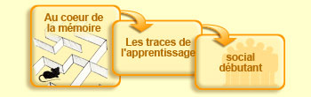 Au coeur de la m&eacute;moire