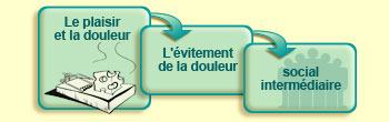 L'&eacute;vitement de la douleur