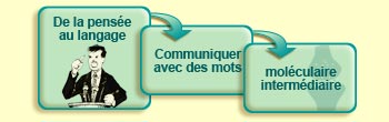 De la pens&eacute;e au langage