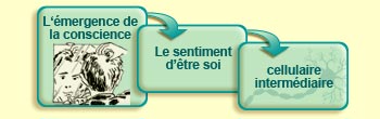 L'&eacute;mergence de la conscience